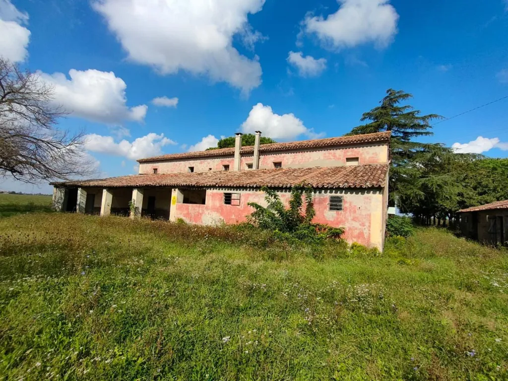 Extérieur - Rustic Villa to Renovate in Cesena