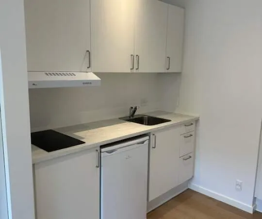 Cucina - 1-Bedroom Flat in Esbjerg Centre