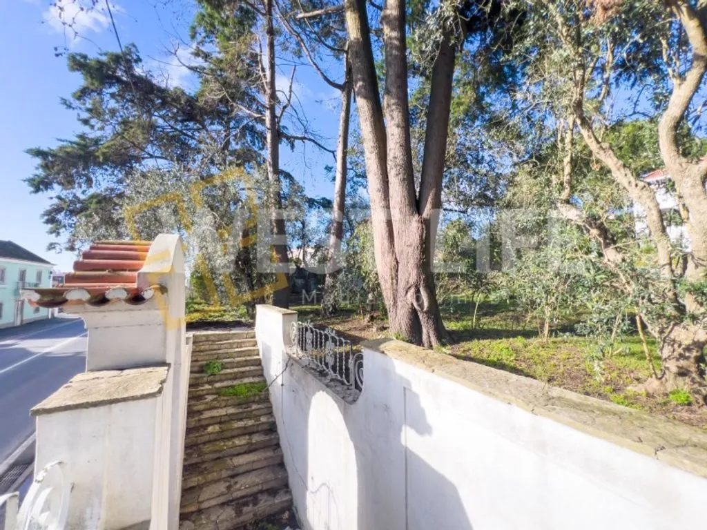 Jardin - Luxury Villa with Garden in Mafra