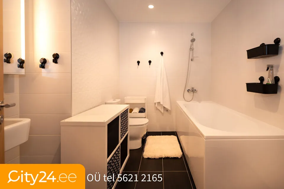 Vannitoad - Spacious Apartment with Large Balcony near Kadaka Park