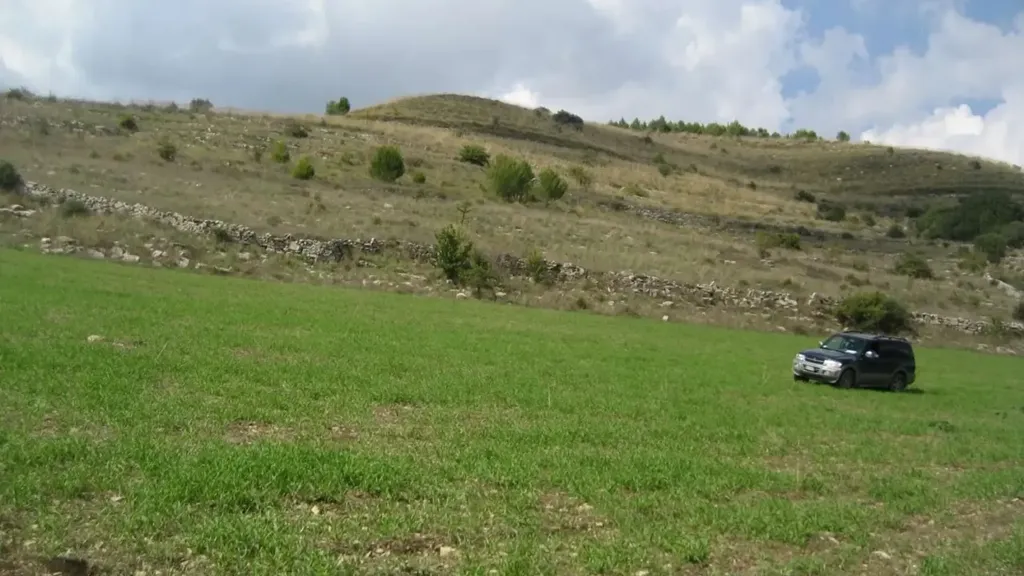 Aed - Traditional Rustico with Extensive Land in Ragusa