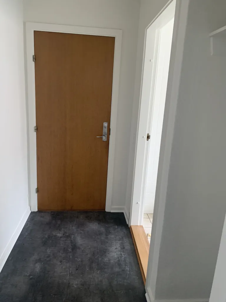 Esik - Modernised Flat with Kitchen in Brande Centre