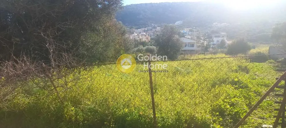 Aed - Residential Plot with Mountain View in Port Rafaï