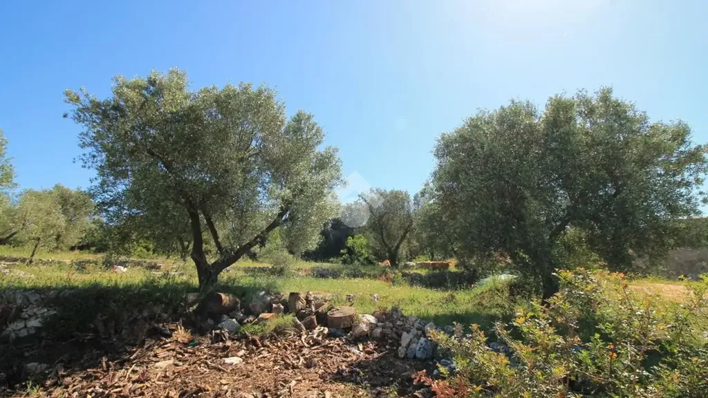 Aed - Rustic Trullo with Panoramic View in Ostuni