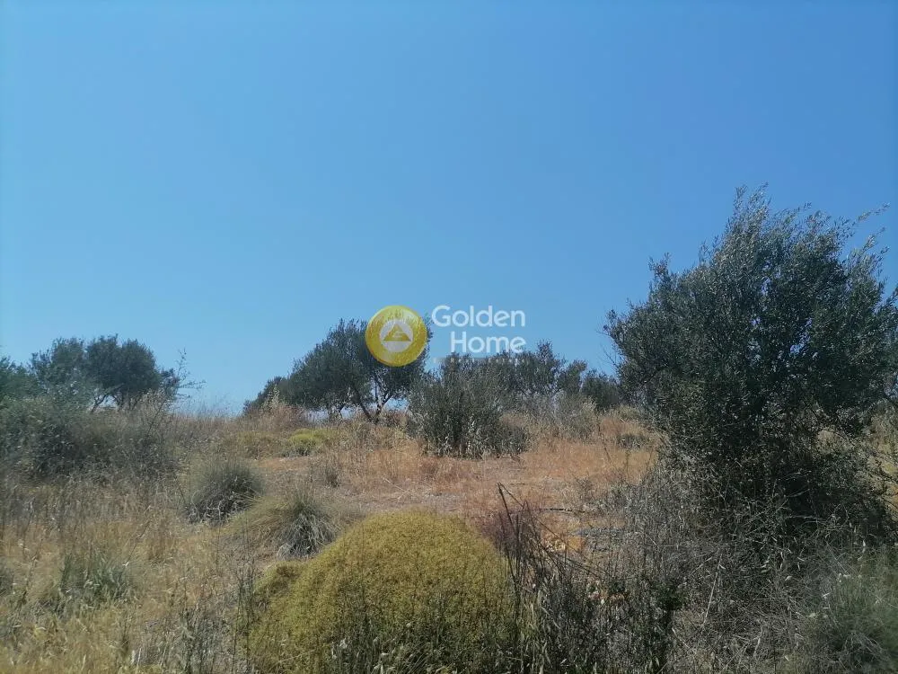 Garden - Buildable Plot with Olive Trees in Phaistos