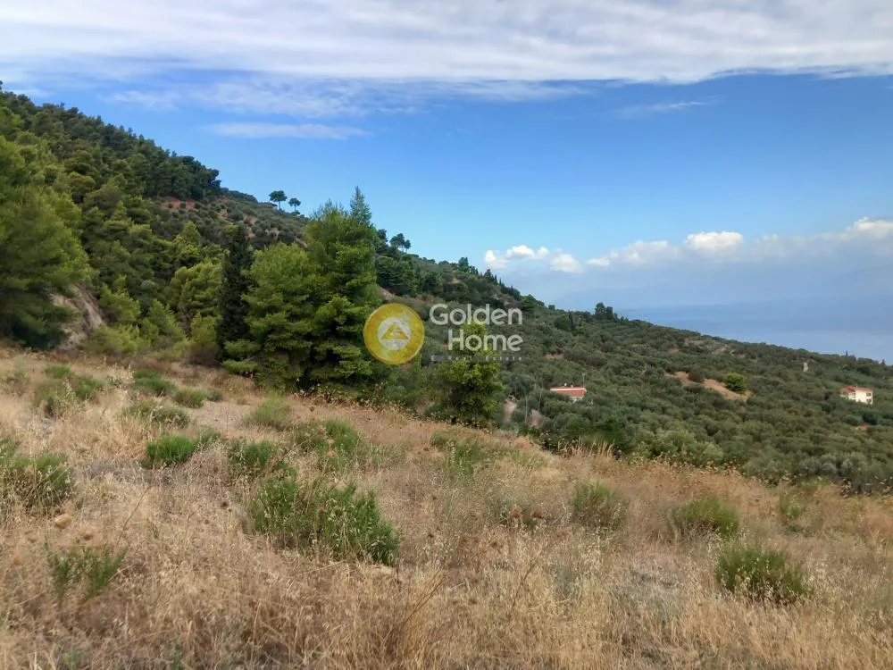 Jardin - Plot with Panoramic Sea View in Akra, Platano