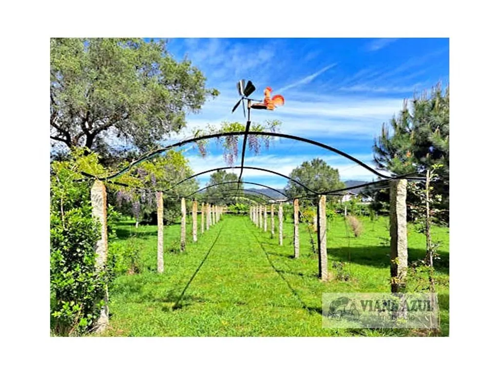 Aed - Historic Manor with Garden in Vila de Punhe