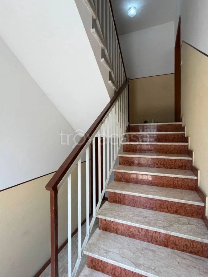 Toad - Apartment with Balcony in Formigana Centre