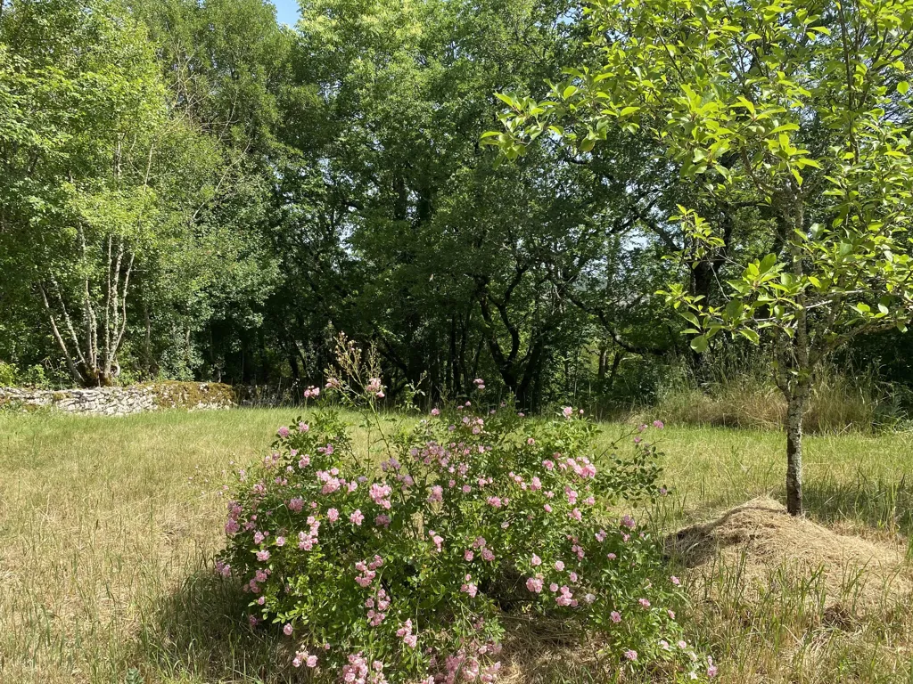 Garden - Authentic Stone Farmhouses in Saint-Matré