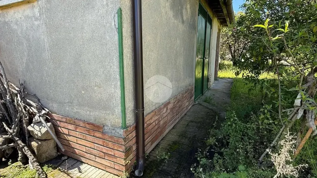 Extérieur - Rustic House with Large Garden in Corigliano-Rossano