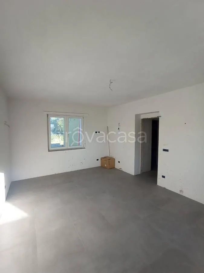 Toad - New Construction House in Nole