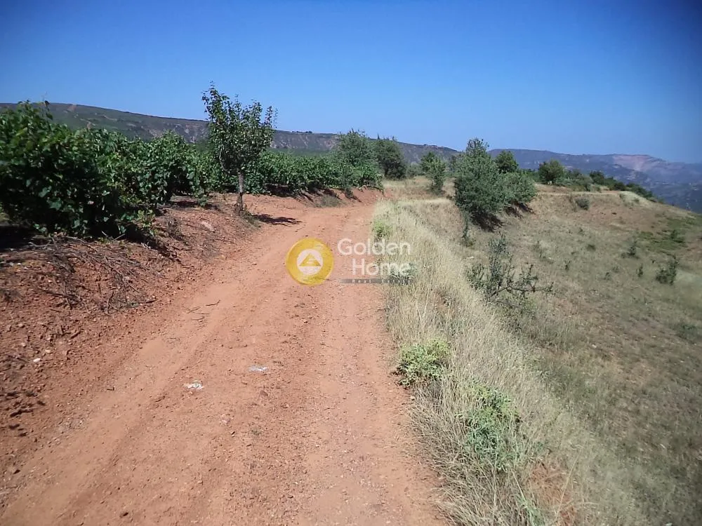 Aed - Agricultural Plot with Mountain View in Aegio