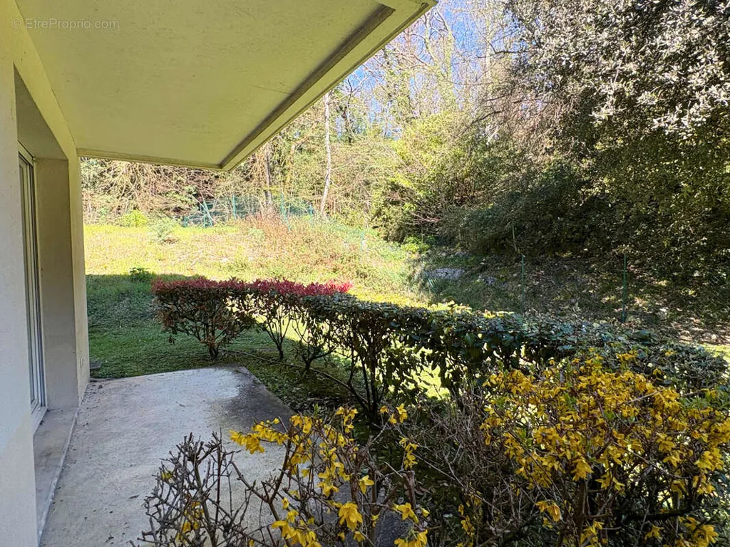 garden