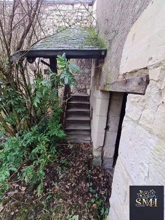 Jardin - Maison Ancienne avec Jardin au Cœur de Bourgueil