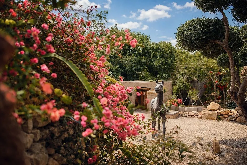 Jardin - Rustic Finca with Pool in Cabo de Gata