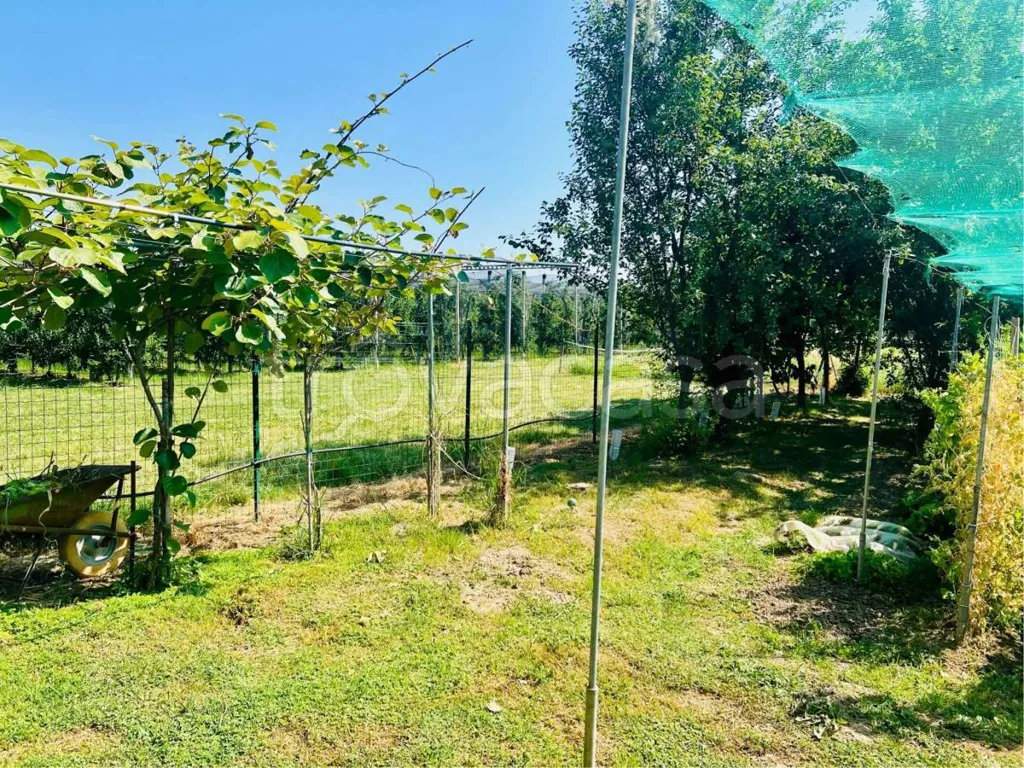 Jardin - Villa with Private Garden in Costigliole Saluzzo