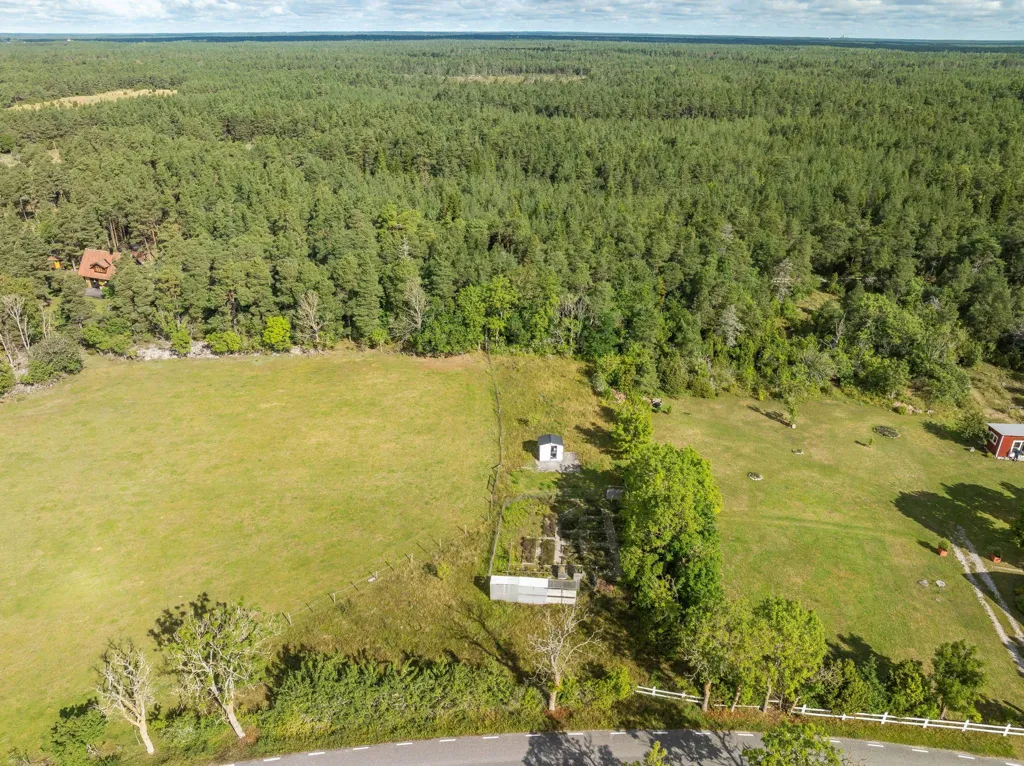 Õhuvaade - Large Plot with Preserved Vegetation in Anga