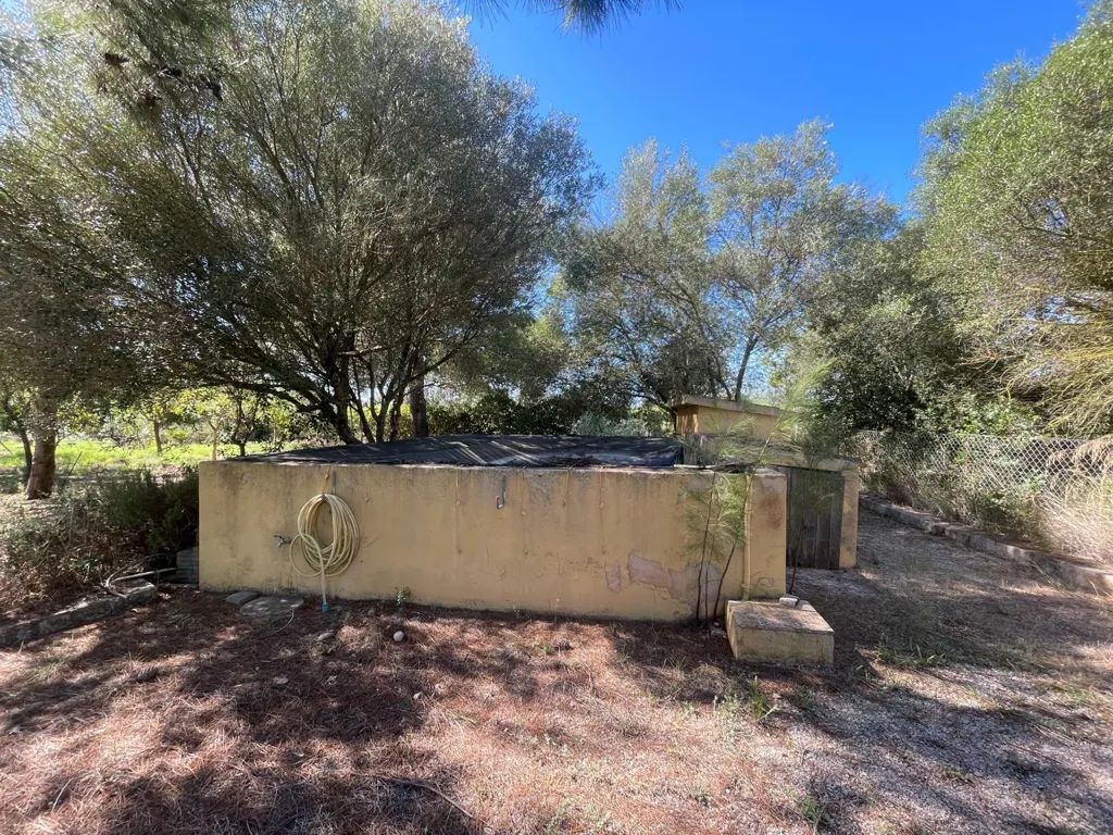 Garden - Country Home with Pool near Binissalem