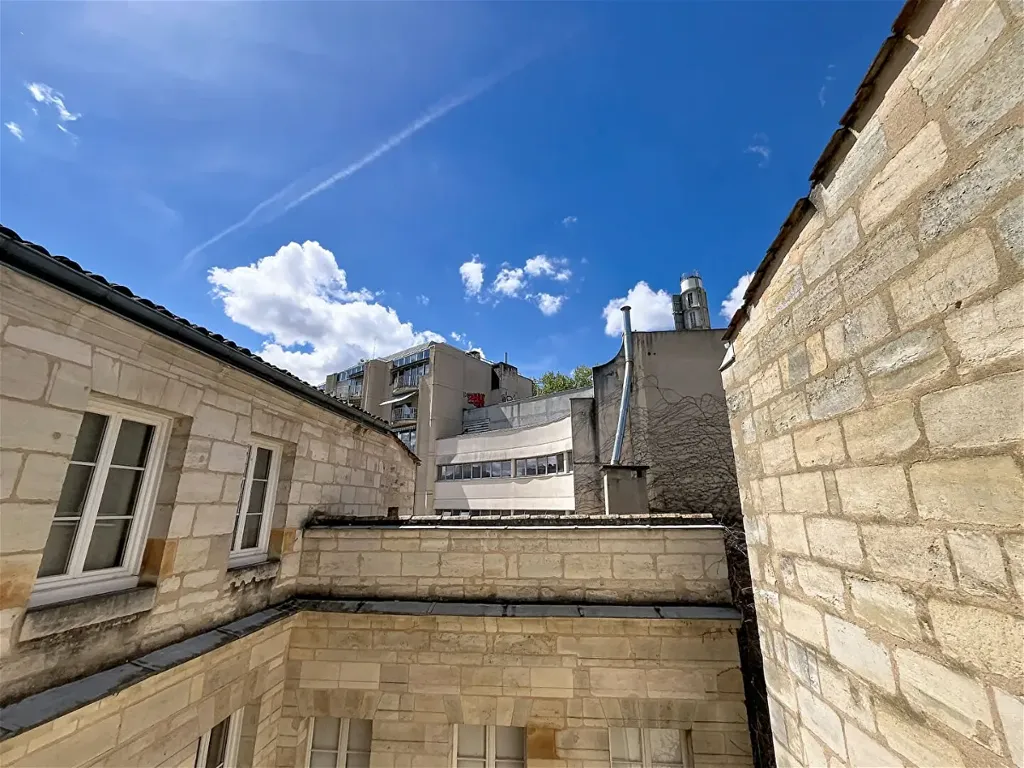 Jardin - Appartement Refait à Neuf avec Vue Cour à Bordeaux