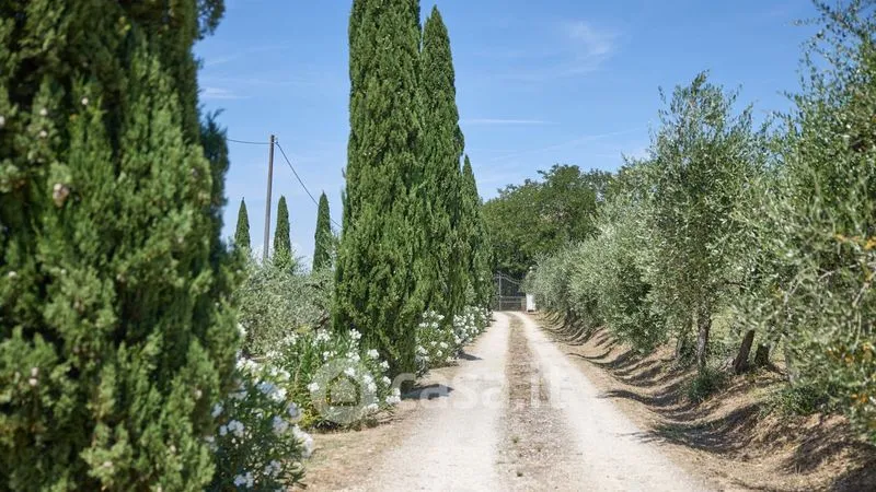 Extérieur - Tuscan-Style Villa with Pool in Certaldo