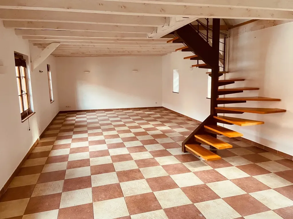 Toad - City Centre Duplex Apartment in Obernai
