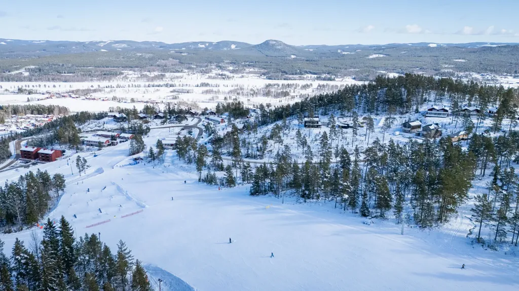 Buildable Plot with Ski Access in Järvsö