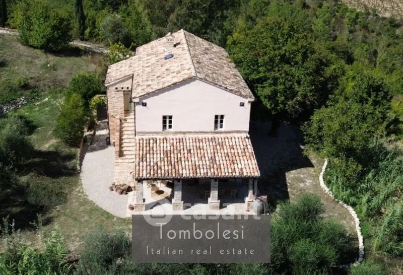 Vue aérienne - Restored Rustico with Vineyard in Cossignano