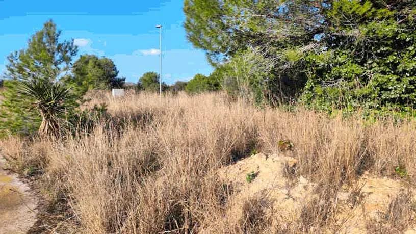 Aed - Land with Development Potential in Creixell