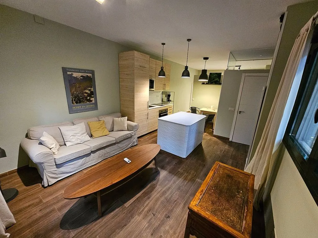Séjour - Modernised Studio Flat with Garden in Nueva España