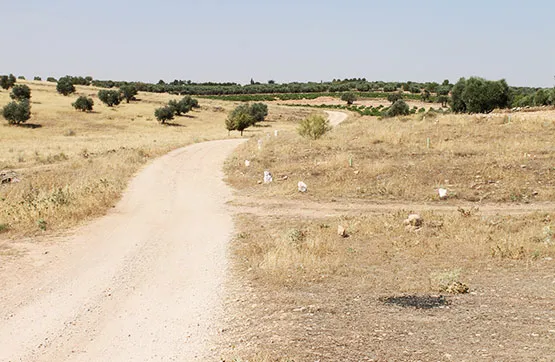 Land Plot in Almadén, Ciudad Real