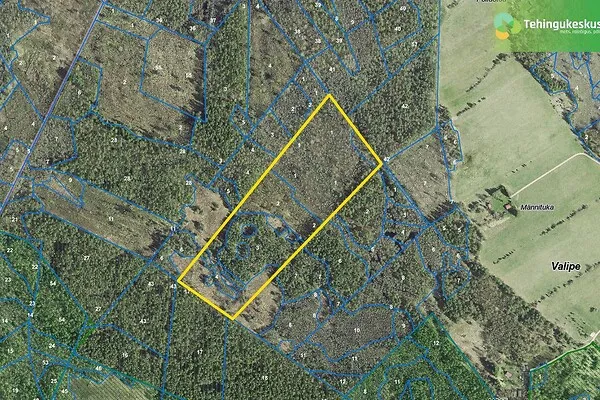 Plaan - Forest Land for Sale in Hiiumaa