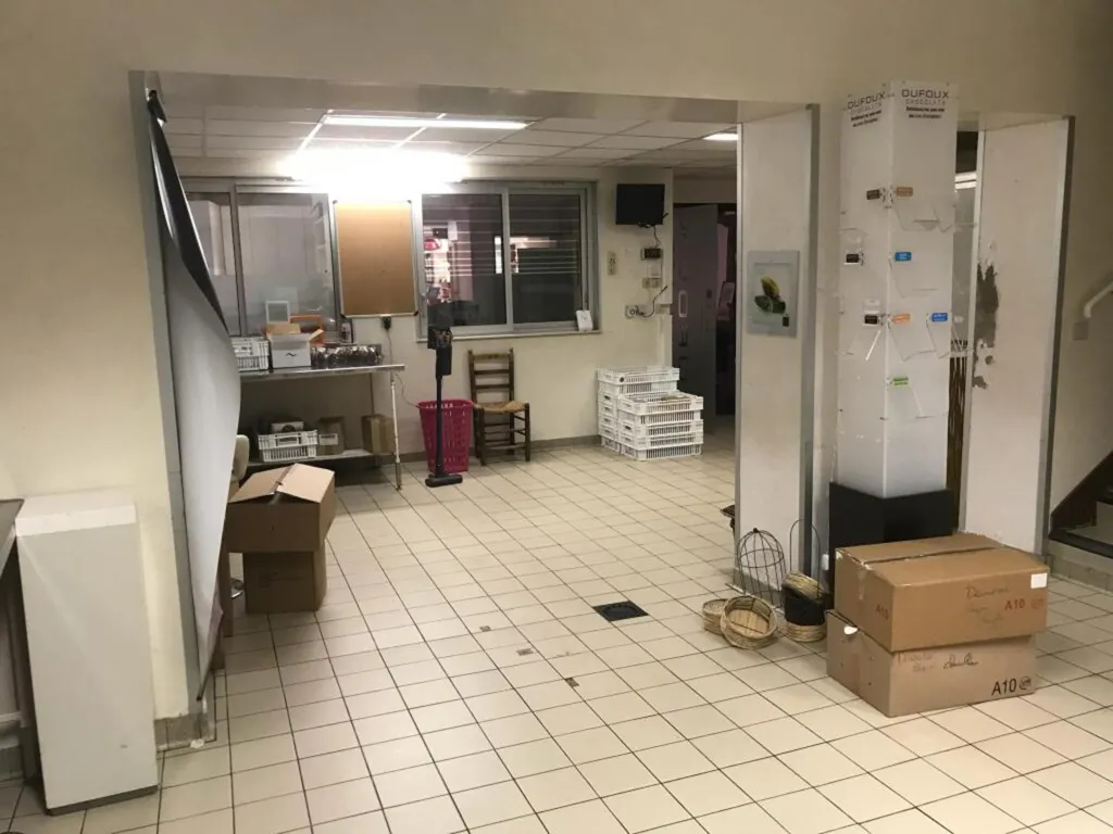Toad - Multi-Unit Building with Commercial Space in La Clayette