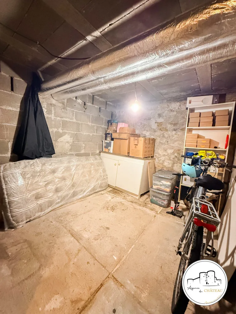 Toad - 4-Piece Flat with Balcony in Angers