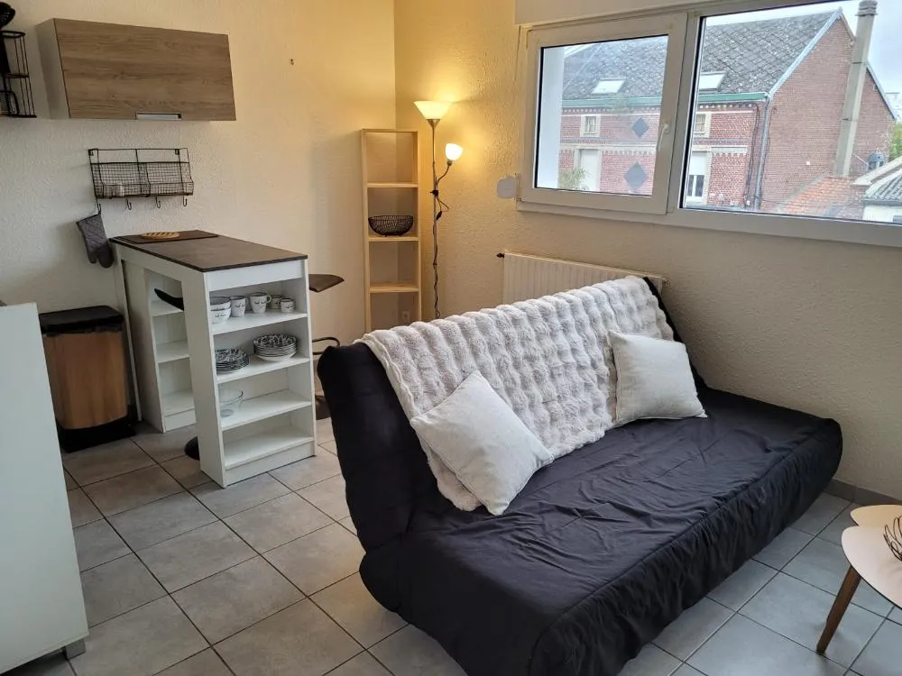 Séjour - Appartement Lumineux Meublé à Amiens