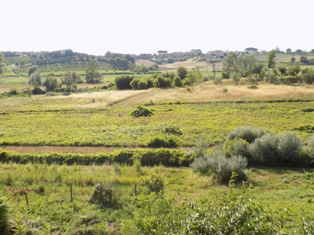 Jardin - Terraced House with Garden in Vinci