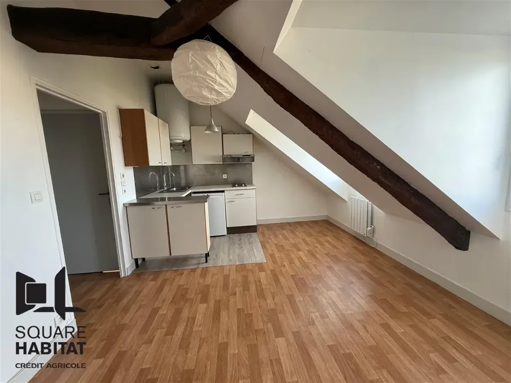 Toad - One-Bedroom Flat in Centre-Gare, Tours