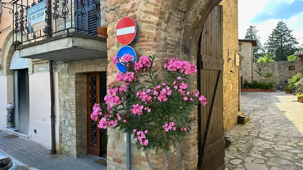 Extérieur - Historic Townhouse with Two Entrances in Assisi