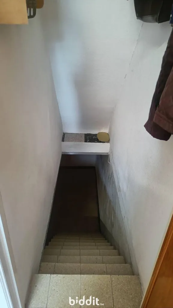 Toad - Detached House with Garden in Well-located Area