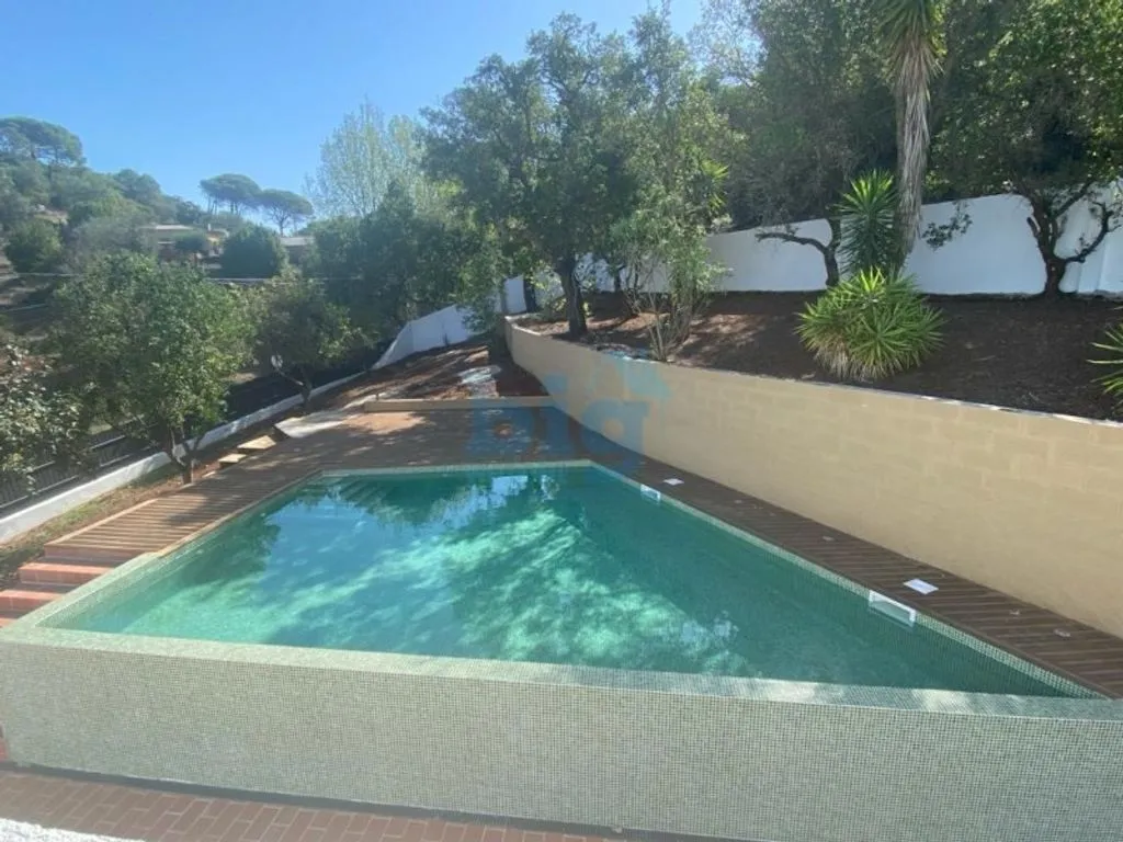 Bassein - Luxury Detached House with Pool in Setúbal