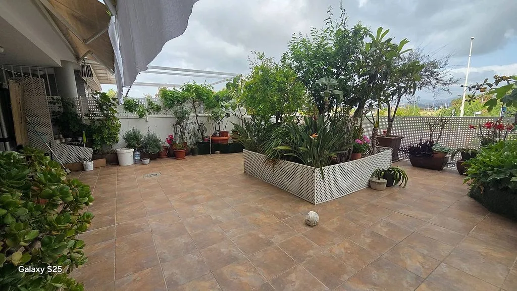 terrace_patio