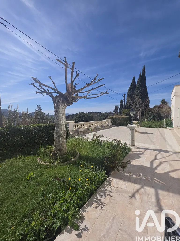 Jardin - Maison Haussmannienne avec Jardin à Marseille