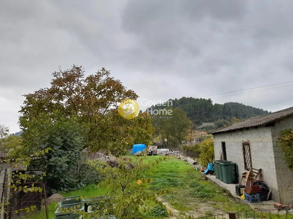 Aed - Buildable Plot with Forest View in Kassandra
