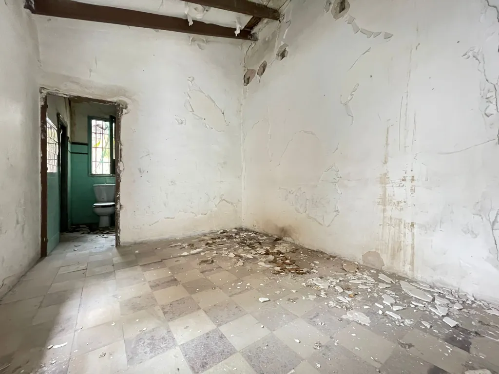 Toad - 1-Bedroom House for Renovation in Elda