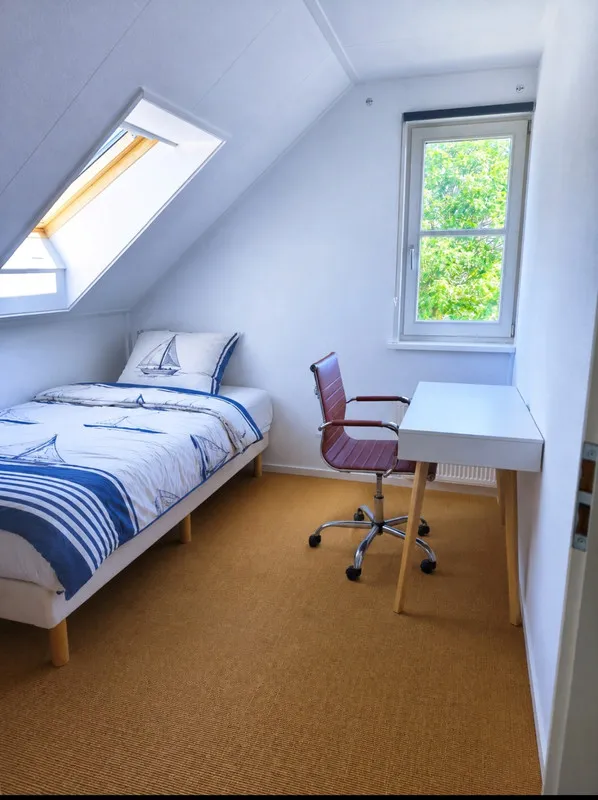 Magamistoad - Riet-Covered Villa with Water Views in Makkum