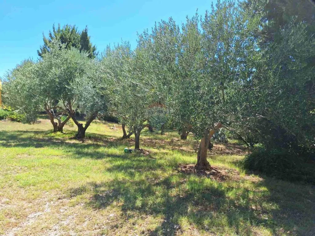 Giardino - Renovated House with Sea View in Baška