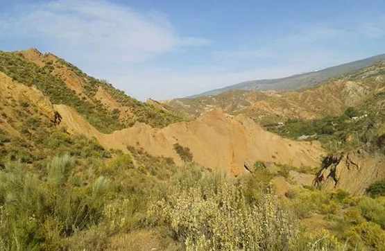 Terrain à Nevada