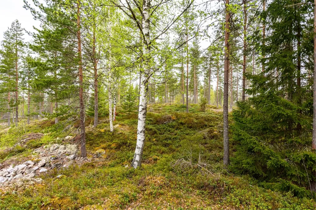 Maison 6 pièces à Ljusnarsbergs kommun