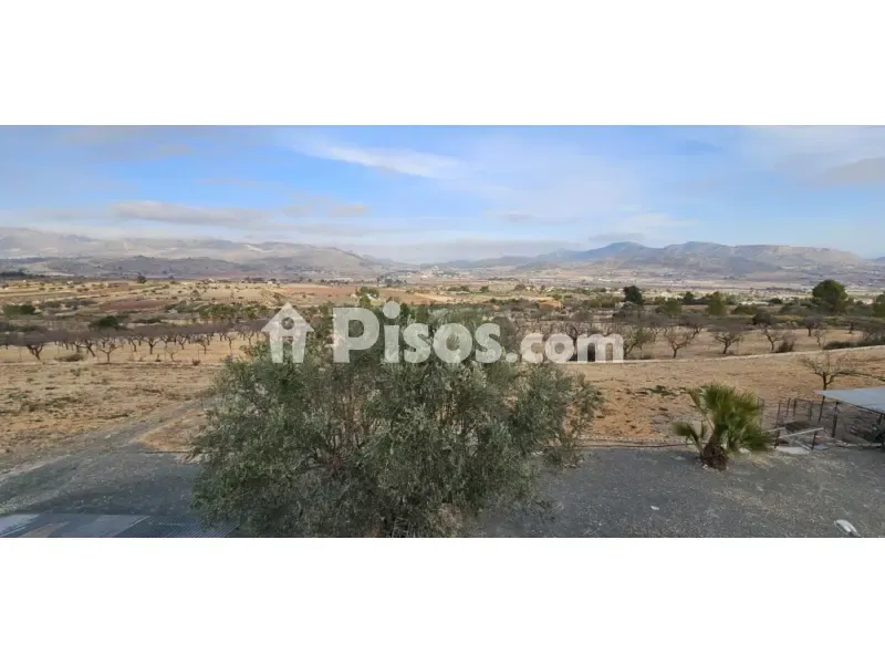 Jardin - Chalet with Pool in Hondón de Las Nieves