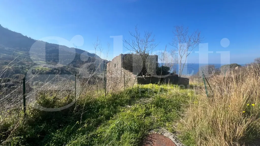 Giardino - Rustic Cielo-Terra in Falconara Albanese