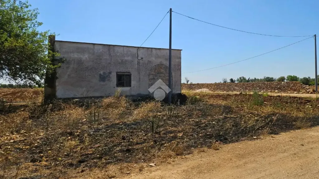 Jardin - Rustic Property with Olive Trees in Nardò